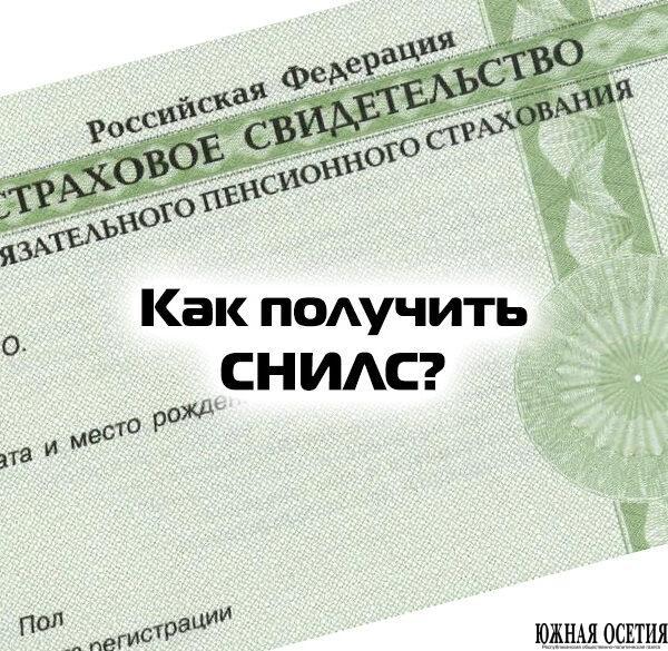 Как получить СНИЛС
