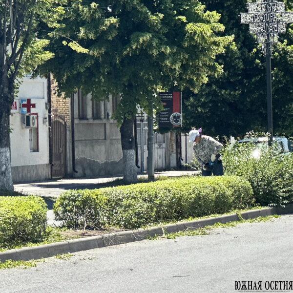 Комбинат благоустройства обеспечивает чистоту в городе