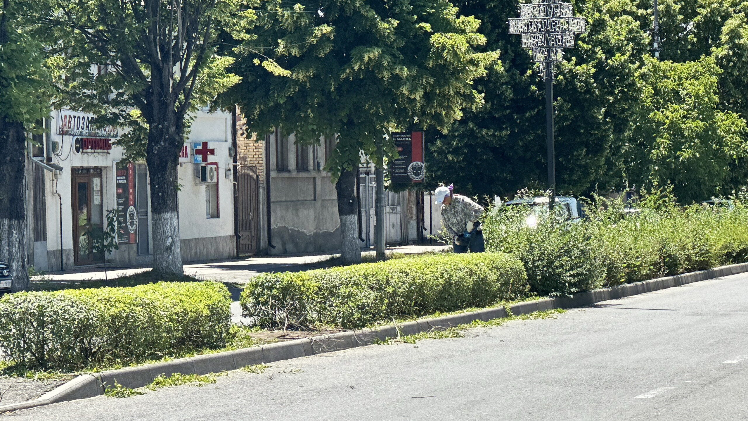 Комбинат благоустройства обеспечивает чистоту в городе