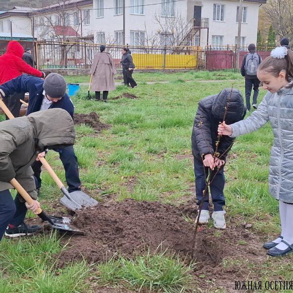 Акция «Сад памяти» в Цхинвале