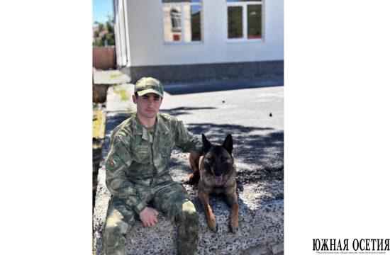 Четвероногие стражи порядка
