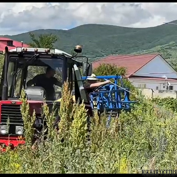 Гербициды для защиты урожая