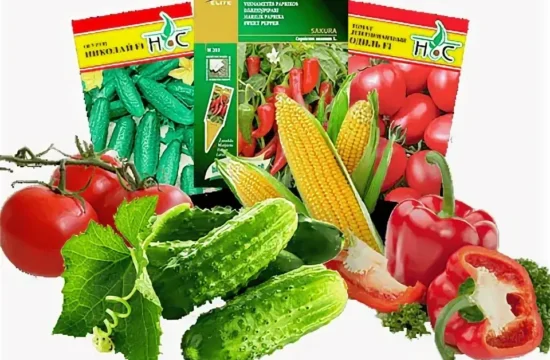 Семена, которые разбирают до февраля: что важно успеть&hellip;